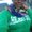 Photo of Lareal L.