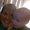 Photo of Jenn A.