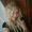 Photo of Sherry R.