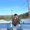 Photo of Karthik A.