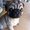 Photo of Qype User (zapper…)