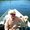 Photo of Rick C.