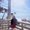 Photo of Pooja R.