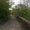 Photo of Rimona F.