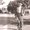 Photo of Max D.