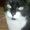 Photo of Coco H.