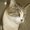 Photo of Corrine H.