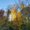 Photo of Aspen M.