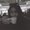 Photo of Maya D.