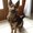 Photo of Cityvox User (willem…)