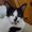 Photo of Ronni B.