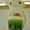 Photo of Alien T.