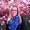 Photo of Marissa L.