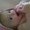 Photo of Krista L.