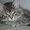 Photo of Qype User (Beebee…)