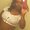 Photo of Deleria M.