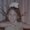 Photo of Lisa A.