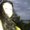 Photo of Tiffany D.