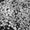 Photo of Sephra L.