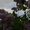 Photo of Qype User (MCB…)