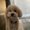 Photo of Adin P.