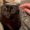 Photo of Nubia