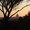 Photo of Dayna C.