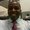 Photo of Rich P.