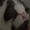 Photo of Malina T.