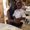 Photo of LaRonica L.