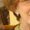 Photo of Kathy G.