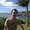 Photo of Adam S.
