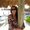 Photo of Traci C.
