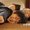 Photo of Daes R.