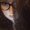 Photo of Isabel R.
