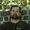 Photo of Darrin D.