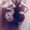 Photo of Darlaa H.