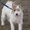 Photo of Qype User (hilfle…)