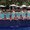 Photo of Andy S.