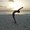 Photo of Ilene P.