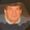 Photo of Carl H.