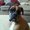 Photo of Sheri E.