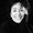 Photo of Susan P.