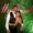 Photo of Melissa G.