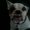Photo of Bella B.