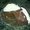 Photo of Leslie K.
