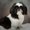 Photo of Jaddie D.
