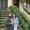 Photo of Francine L.