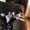 Photo of Crys T.