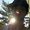 Photo of Caleb S.